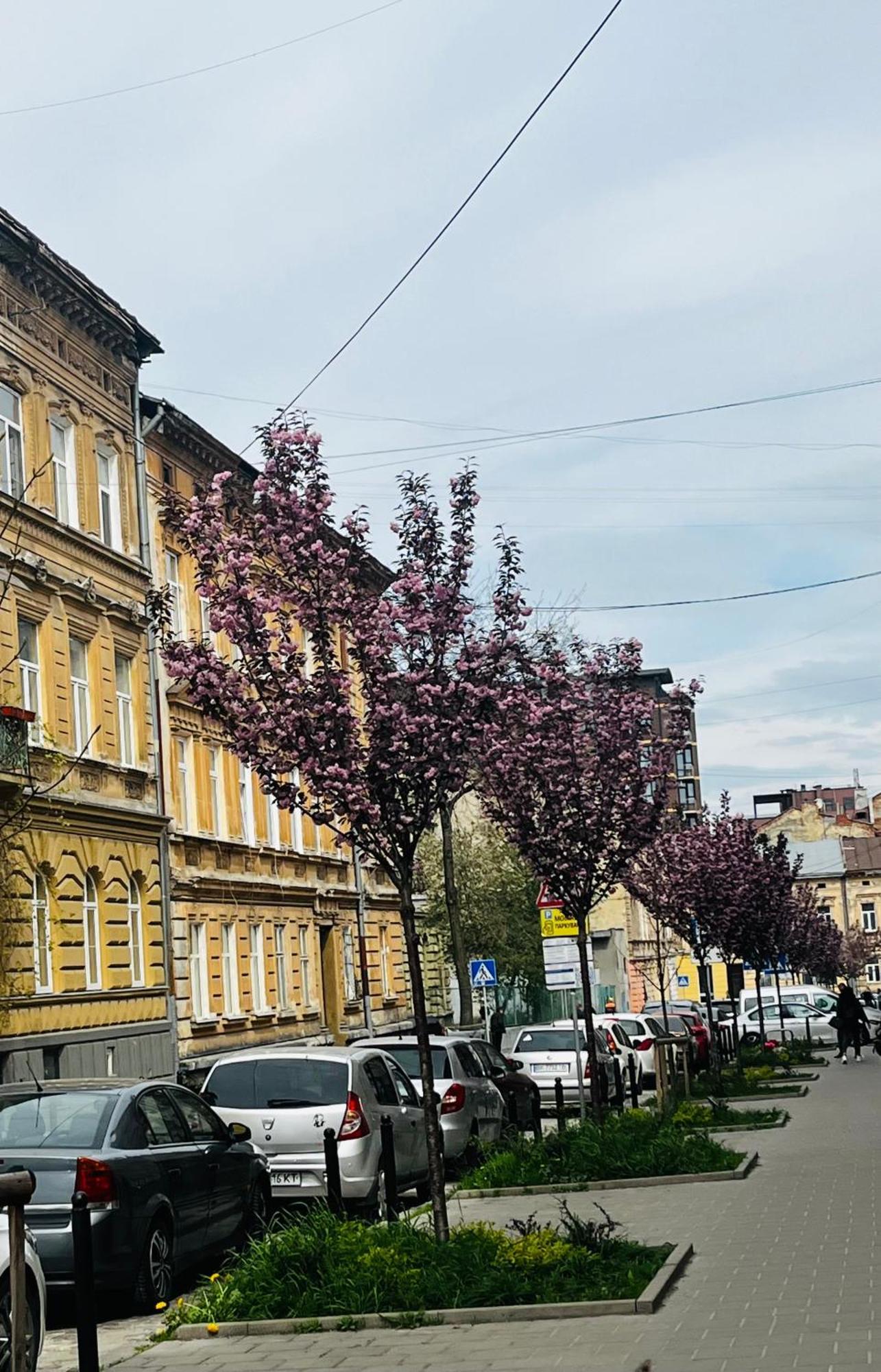 Iren Forum Apartment Lviv Exterior photo